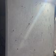 Uma infestação de mariposas causou reações alérgicas em mais de 100 pessoas e suspendeu aulas em duas escolas na Ilha da Pintada, em Porto Alegre. De […]