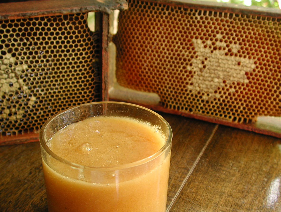 O retorno das chuvas beneficiou as floradas e possibilitou o aumento da produtividade em diversos locais. De acordo com o Informativo Conjuntural, divulgado nesta quinta-feira (09/03) pela Emater/RS-Ascar, há bons [&hellip;]