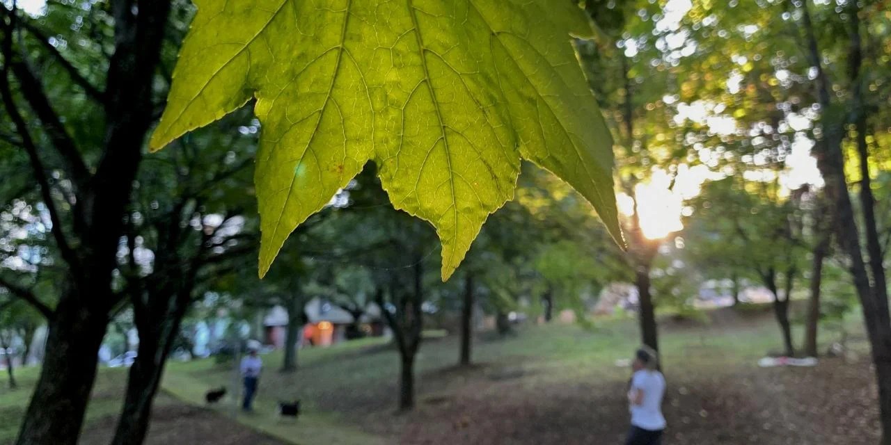 O Nordeste gaúcho também pode registrar chuva e garoa em alguns momentos O frio segue no Rio Grande do Sul nesta sexta-feira. Em algumas cidades gaúchas, conforme prevê a Metsul, […]