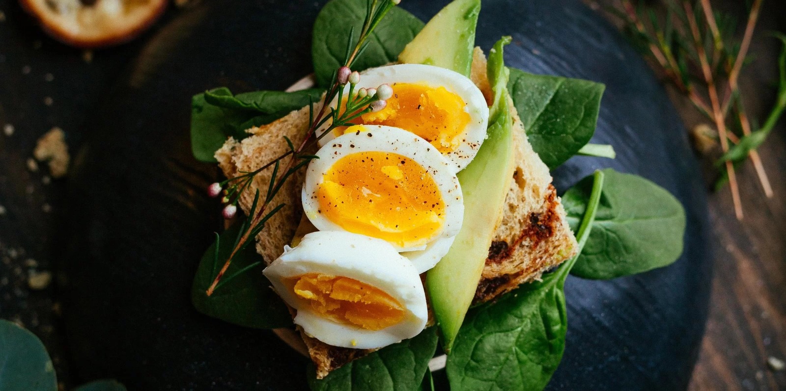 O ovo é um integrante extremamente popular dos pratos ao redor do mundo, inclusive no Brasil, e isso não é por acaso. Rico em proteínas, vitaminas e minerais, o consumo […]