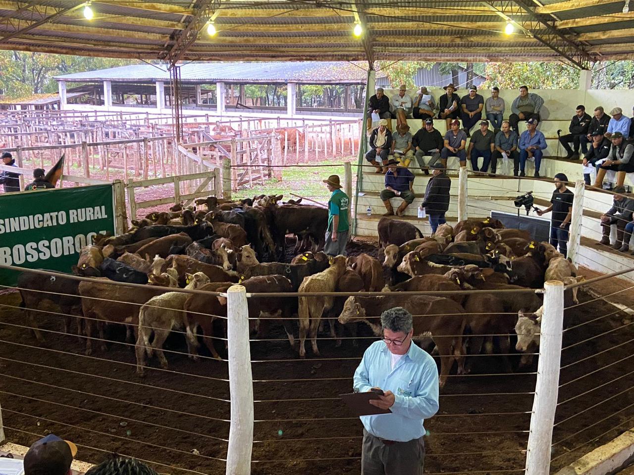 No sábado dia 06 de maio foi realizada em Bossoroca a 16ª Feira de Terneiros, Terneiras e Vaquilhonas do Sindicato Rural de Bossoroca, que aconteceu tradicionalmente no mês de maio […]