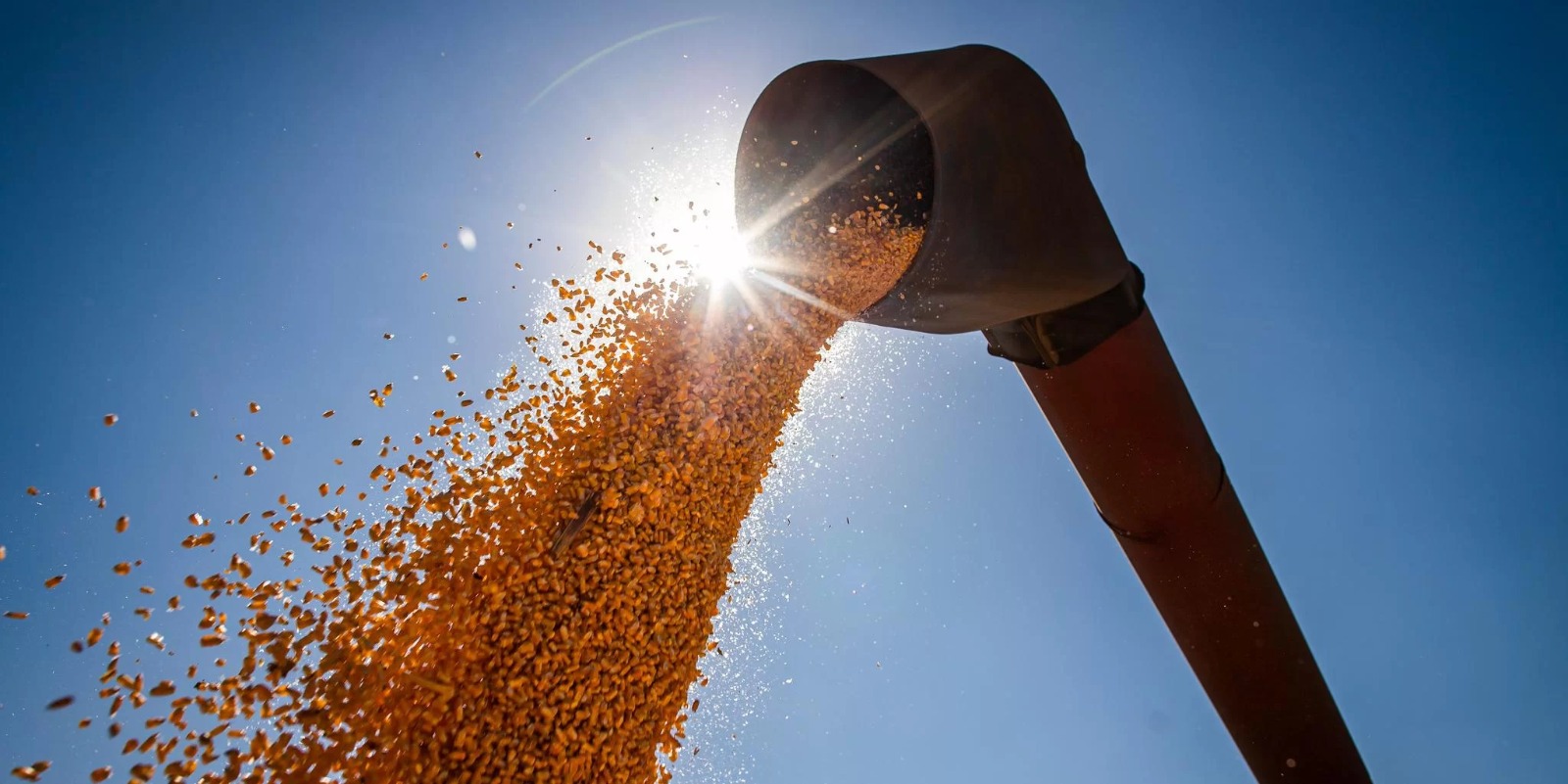 De um lado, uma&nbsp;supersafra nacional de grãos. De outro, gargalos logísticos, com disputa acirrada por estradas, meios de transporte, portos e estruturas de armazenagem. Essa combinação, somada ao declínio das [&hellip;]