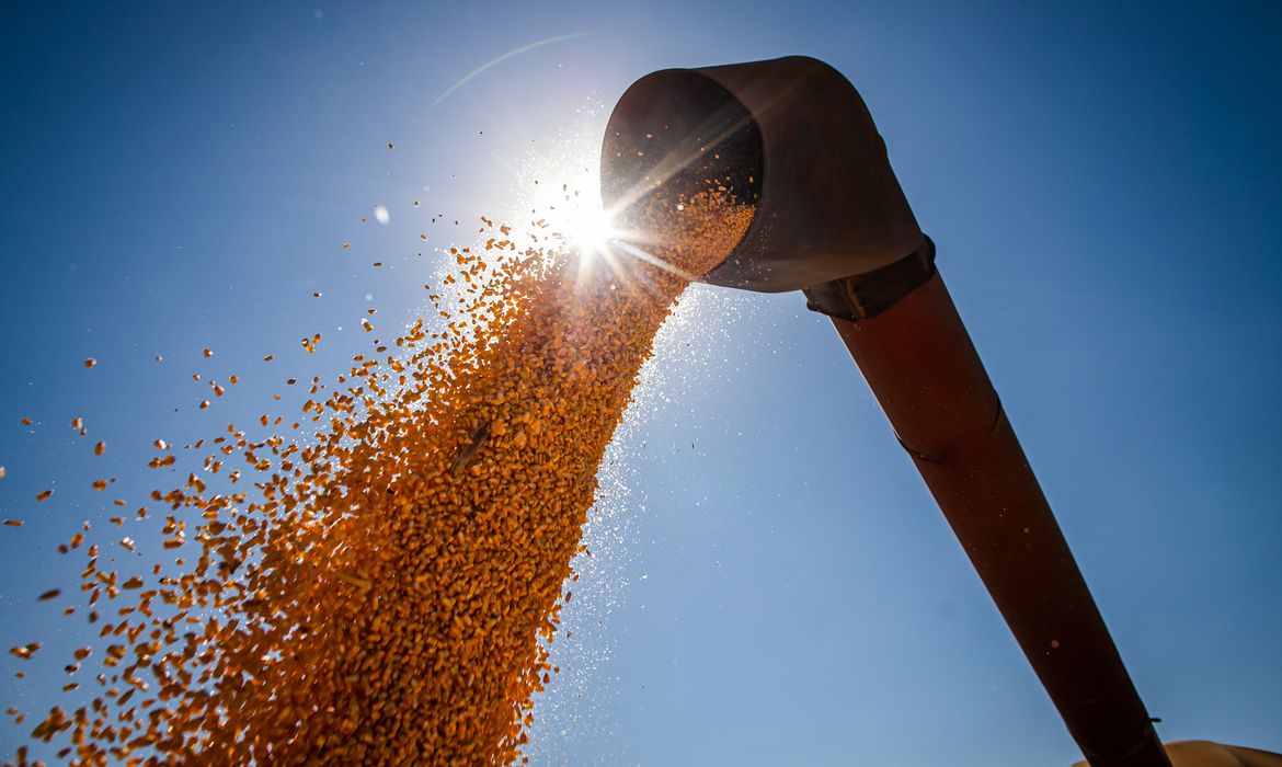 Se confirmado, volume representará novo recorde A produção de grãos no Brasil deverá bater novo recorde com 315,8 milhões de toneladas na safra 2022/2023. A previsão consta do 9º Levantamento […]