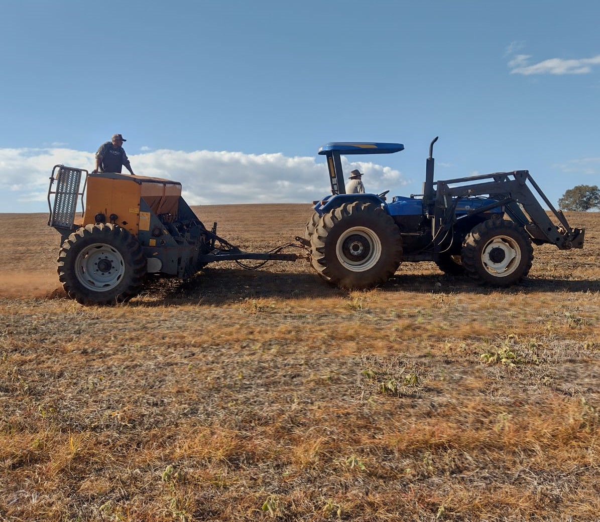 Em processo de implantação, a cultura do trigo no Rio Grande do Sul atinge 65% da área planejada para esta safra, estimada em 1.505.704 hectares. As lavouras que foram semeadas […]