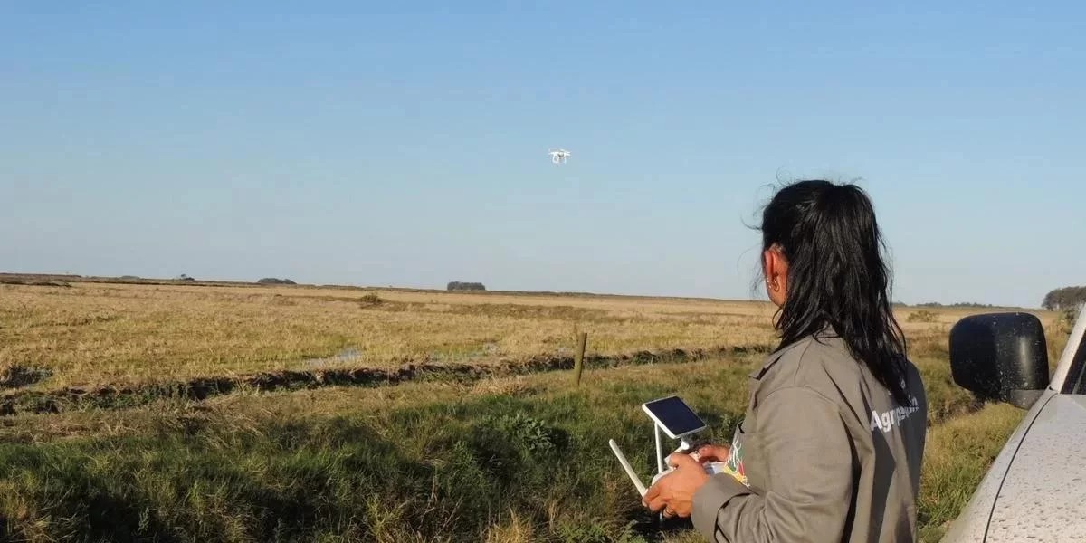 O governo do Rio Grande do Sul está avaliando se irá declarar estado de emergência zoosanitária e se será necessário reforçar ações para impedir o avanço da gripe aviária em [&hellip;]