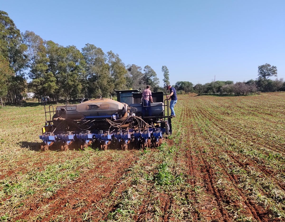 A semeadura de milho está em fase inicial no Rio Grande do Sul. Os produtores realizam os trabalhos de preparo das áreas para o plantio. De acordo com o Informativo [&hellip;]