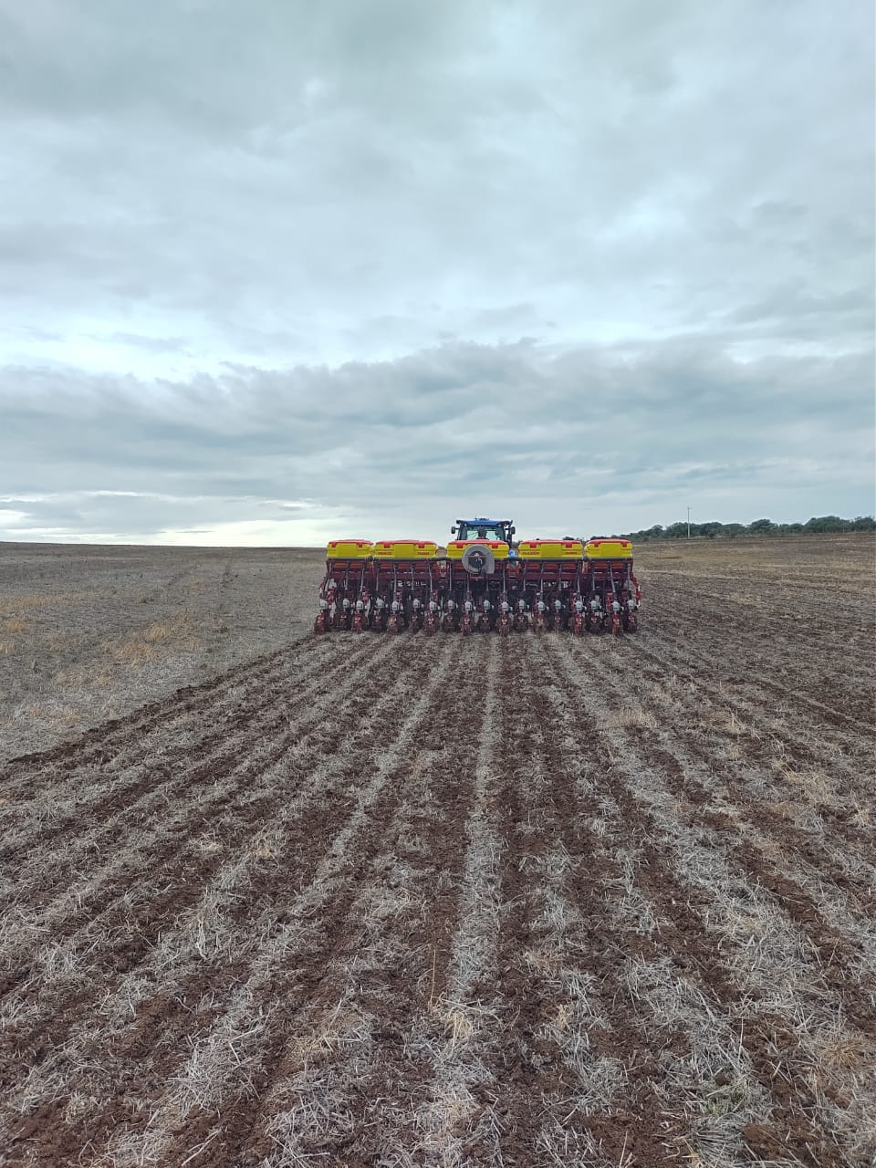 A Emater/RS-Ascar está realizando o levantamento dos dados para a projeção inicial da safra das principais culturas de verão, incluindo estimativas de área de cultivo, produtividade e produção. Essas informações [&hellip;]