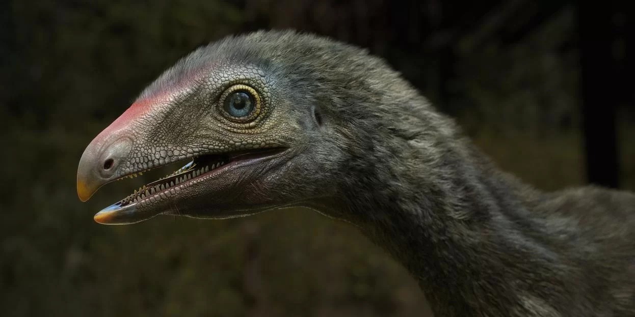 Pesquisadores da Universidade Federal de Santa Maria (UFSM) encontraram um fóssil bem conservado de um réptil que habitou a Terra cerca de 230 milhões de anos atrás. A descoberta feita no município [&hellip;]