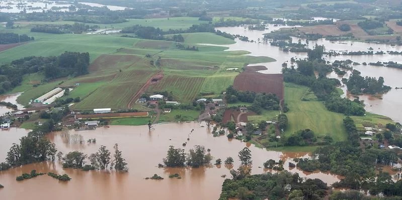 As enchentes ocorridas no Vale do Taquari e na Serra gaúcha impactaram a produção de aves e de suínos no Estado. Por enquanto, a maior dificuldade das entidades representativas de [&hellip;]