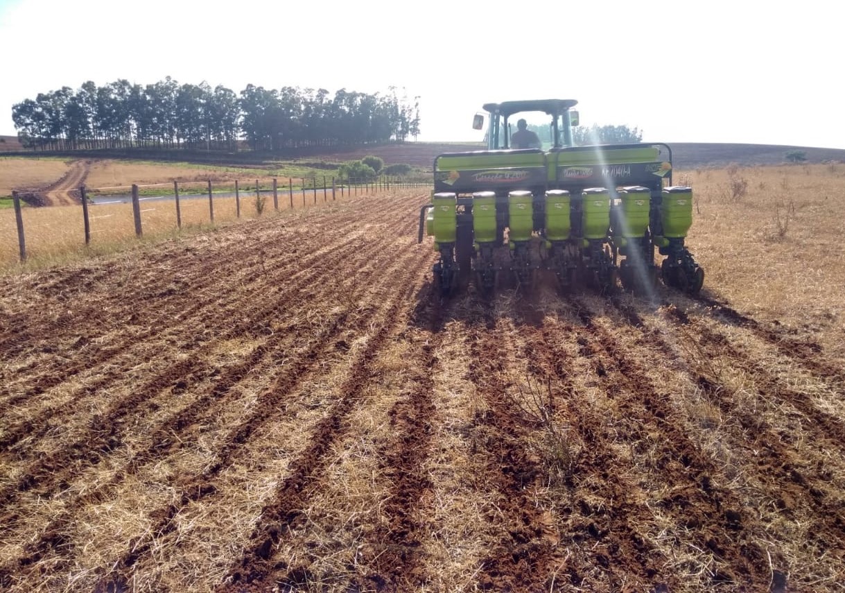 Houve um ligeiro incremento na semeadura da soja no Rio Grande do Sul, alcançando 3% da área projetada para a Safra 2023/2024, que é de 6.745.112 hectares. As condições ambientais [&hellip;]