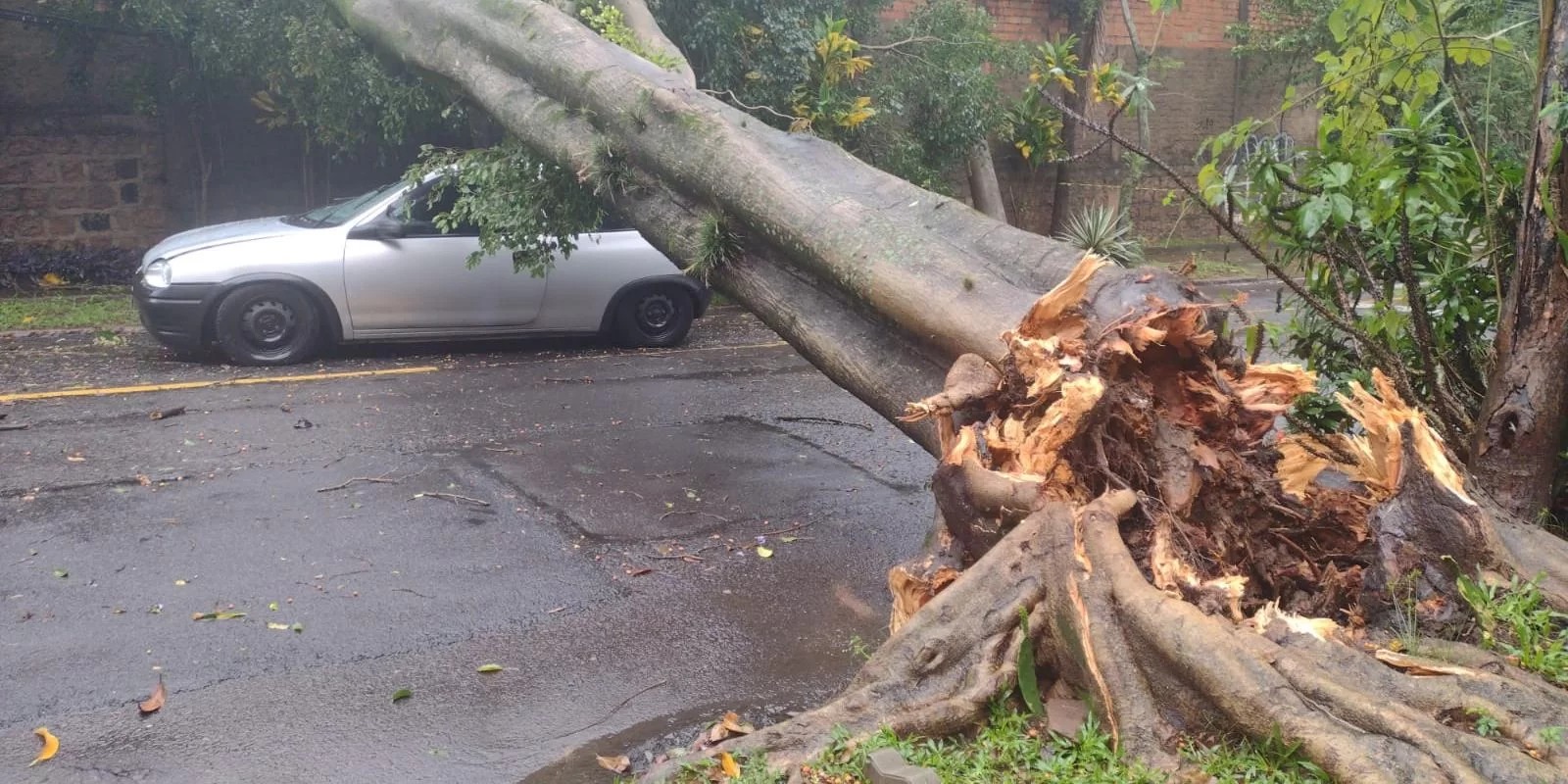 Vale do Taquari, uma das regiões mais atingidas desde setembro, volta a ficar em estado de alerta para inundações O&nbsp;Rio Grande do Sul&nbsp;foi novamente atingido por um forte temporal, registrado [&hellip;]
