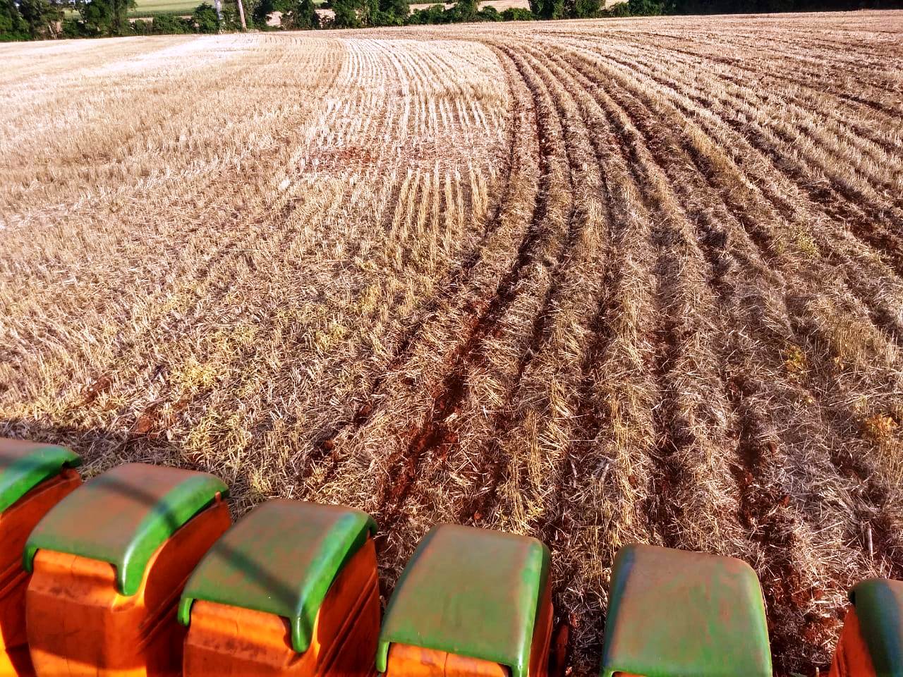 Em uma extensa área do Estado, especialmente nas regiões mais a Oeste, a predominância de um período com baixa incidência de chuvas nos últimos dias propiciou um avanço significativo na [&hellip;]