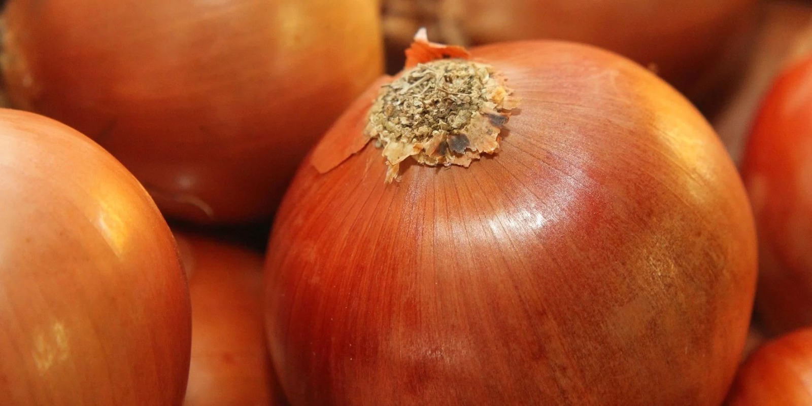 Problemas climáticos, como excesso de chuvas e a onda de calor que afetou o País, prejudicaram a colheita nas lavouras, elevando os preços de alguns itens alimentícios em novembro. O [&hellip;]