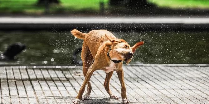 Estado pode enfrentar temporais ao longo do dia MetSul alerta para três dias de calor fora do normal mesmo para o verão gaúcho | Foto: Maria Eduarda Fortes O Rio Grande [&hellip;]