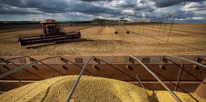 Extremidades climáticas desorganizam o período de semeadura do grão e já consolidam perdas na principal área produtora do país Após três safras cultivadas sob estiagem, a expectativa de alguns especialistas [&hellip;]