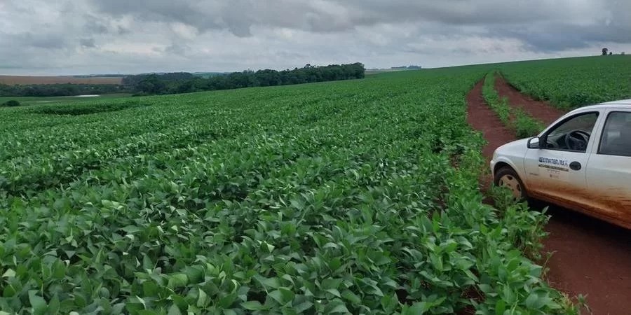 O crescimento das plantas de&nbsp;soja&nbsp;no Rio Grande do Sul foi acelerado nos últimos dias em razão de com níveis apropriados de umidade no solo, elevadas temperaturas e luz solar. Conforme [&hellip;]