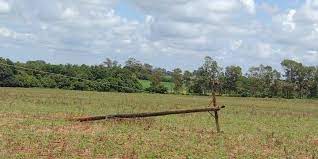 À beira de uma estrada de terra do interior de Santo Antônio das Missões, Elói Carmelute da Veiga segura uma placa improvisada onde se lê: “RGE 200h sem luz”. Sem [&hellip;]