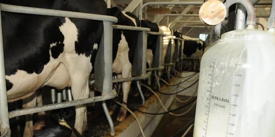 A importação de lácteos do Mercosul começou em alta em 2024, mas o&nbsp;setor leiteiro&nbsp;gaúcho está esperançoso de que o&nbsp;decreto federal&nbsp;11.732 possa devolver a competitividade a produtores e indústrias. Publicado em [&hellip;]