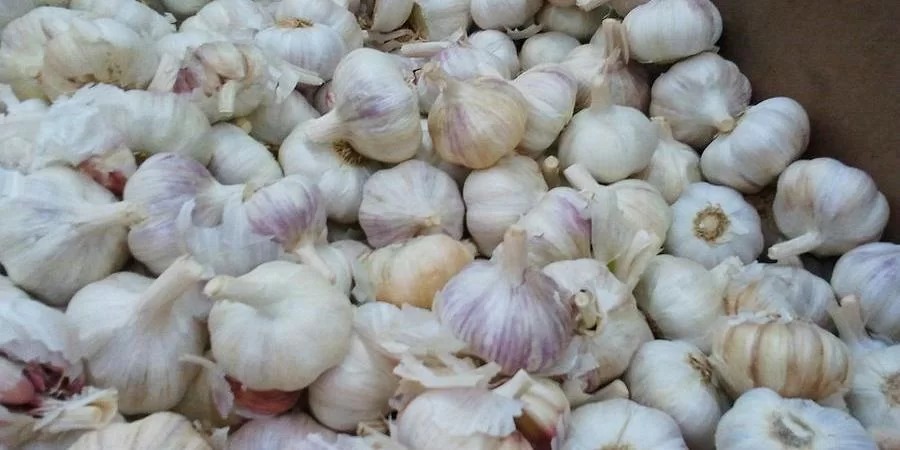 O tempo passa, a medicina evolui e, em meio a esse processo, é natural que muita coisa que a gente fazia no passado, para tratar da&nbsp;saúde, hoje seja considerada ineficaz [&hellip;]