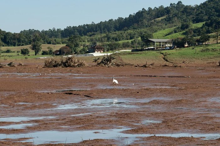Medida protocolada pelo presidente da Frente Parlamentar da Agricultura Familiar, deputado Heitor Schuch, propõe pagamento em cinco parcelas de R$ 1,6 mil aos produtores atingidos. Um projeto de lei instituindo&nbsp;um [&hellip;]