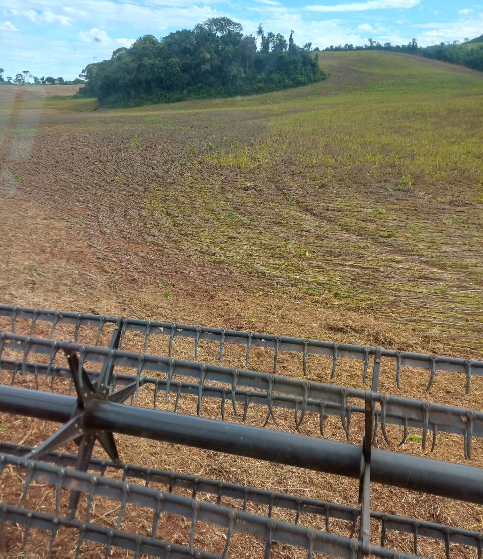 A colheita da soja foi concluída nas regiões Noroeste, Alto Uruguai, Nordeste e parte do Planalto do Rio Grande do Sul. Nas últimas lavouras colhidas, em que os produtores aproveitaram [&hellip;]