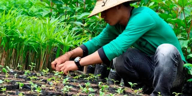 Carta das Agroflorestas e Soluções Baseadas na Natureza coleta assinaturas na internet Um abaixo-assinado com propostas para reconstrução do Rio Grande do Sul por meio dos&nbsp;sistemas agroflorestais&nbsp;está angariando assinaturas na [&hellip;]