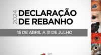 O prazo para entrega da Declaração Anual de Rebanho 2024 se encerrou em 31 de julho e a Secretaria da Agricultura, Pecuária, Produção Sustentável e Irrigação (Seapi) contabiliza 299.797 declarações [&hellip;]