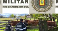 Na sexta feira, 22, em mais um trabalho integrado entre a Operação Protetor de Divisas e Fronteiras da Brigada Militar/14º BPM e a Secretaria da Agricultura, Pecuária, Produção Sustentável e […]
