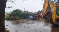Fortes ventos e chuva intensa atingiram o município de Bossoroca na noite de sexta-feira causando alguns danos na cidade e interior,algumas árvores caídas, muitos galhos e até casas destelhadas. O […]