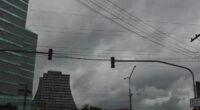 Ar frio traz um dia bastante ameno para setembro no estado, com frio cedo pela manhã e novamente a partir da noite A quinta-feira, 5, deve começar com muitas nuvens […]