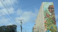 Na maior parte das regiões o dia será de sol e nuvens Nesta quarta-feira, o sol aparece em todo o Rio Grande do Sul, mas será acompanhado de nuvens. Áreas […]