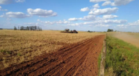 Aprosoja-RS estima que custos de implantação e dificuldades de crédito deixarão áreas sem plantios na temporada Semeadura no RS será de de 1° de outubro a 28 de janeiro de […]