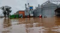 Leilão público da Conab adquiriu 480,5 toneladas, que serão doados a produtores familiares em três municípios Grãos armazenados foram perdidos na enchente de maio | Foto: Jesiel Boschetti Saldanha / Prefeitura […]