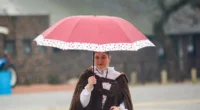 O feriado de 20 de setembro será marcado por uma frente fria que avança pelo estado com chuva. Chove desde cedo em quase todo o território gaúcho, com precipitações fortes […]