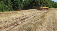 Conhecido como vazio sanitário, o período de proibição para cultivo da soja no Rio Grande do Sul se encerrou no final de setembro e, conforme o Zoneamento Agrícola de Risco […]