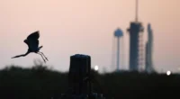 Nosso sistema solar poderia abrigar vida em outro corpo celeste além da Terra? As implicações de uma descoberta como esta seriam estonteantes e a missão Europa Clipper, com decolagem prevista […]