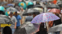 Instabilidade permanece sobre o Estado, com maiores volumes no Norte Muitas nuvens cobrem o Rio Grande do Sul nesta quarta-feira em mais um dia de tempo instável. Chove e garoa […]