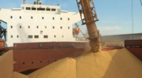 Resultados divulgados pela Farsul mostram incremento em receitas e volumes Agropecuária respondeu por 90% dos volumes embarcados | Foto: Portos RS Divulgação/CP A Federação da Agricultura do Rio Grande do Sul (Farsul) divulgou […]