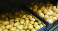 Outros 13 produtos tiveram redução de preço na Ceasa/RS Pela segunda semana consecutiva, preço da batata sofre redução na Ceasa/RS | Foto: Guilherme Testa / CP Memória A exemplo do que […]