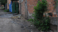 Conforme Instituto, benefícios sociais impedem que desigualdade aumente Pobreza diminui no Brasil | Foto: Ricardo Giusti / CP Memória De 2022 a 2023, o percentual da população do Brasil com rendimento domiciliar per […]