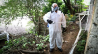 Vigilância Ambiental realizou ação contra mosquito palha no bairro Vila São José Produto deve ser reaplicado em quatro meses | Foto: Cristine Rochol / PMPA / CP Equipe da Vigilância Ambiental […]