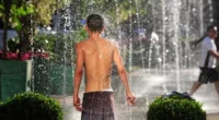 A semana começa com o predomínio do sol no Rio Grande do Sul, apesar da presença de nuvens esparsas. Na grande maioria das cidades do estado não se prevê chuva […]