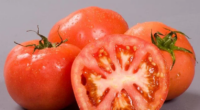 Com redução de 30%, tomate longa vida lidera relação de queda, que inclui ainda o abacate, a melancia, o brócolis e a couve Preço do quilo do tomate longa vida […]