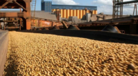 Previsão da Conab aposta num volume superior a 105 milhões de toneladas do grão no mercado externo em 2025 Queda registrada nos embarques de 2024 deve ser revertida neste ano | […]