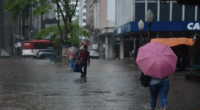 Porto Alegre terá temperaturas entre 23°C e 33°C Uma massa de ar quente e úmido cobre o Rio Grande do Sul nesta sexta-feira, 17, trazendo chuva para o estado. O sol aparece […]
