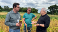 Segundo a Emater/RS, Missões, Fronteira Oeste, Centro e Sul devem ter precipitações abaixo da média em fevereiro e dificuldades com a soja Schwerz (à esquerda) visitou região de Santa Rosa […]