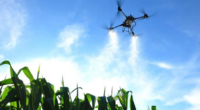 De acordo com o Sindicato Nacional de Empresas de Aviação Agrícola (Sindag), pelo menos 80% da frota de aeronaves remotamente controladas empregadas na pulverização são aparelhos piratas com operadores sem […]