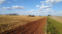 Continuidade da estiagem há mais de 30 dias atinge duramente produtores de Alto Uruguai, Fronteira Oeste e Missões Dados preliminares divulgados nesta terça-feira, dia 21, pela Federação das Cooperativas Agropecuárias […]