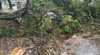 Cidade registrou diversos estragos, como queda de postes, árvores e destelhamento de casas; Defesa Civil Municipal ainda está realizando levantando de danos Após sofrer com estiagem, São Borja registrou um […]