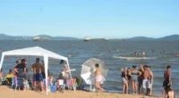 Desde o início da estiagem deste ano, em meados de janeiro, 87 municípios do Rio Grande do Sul já decretaram situação de emergência, conforme o site Monitor da Estiagem RS. […]